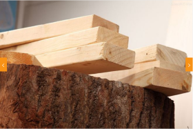 木材鉴定_建筑材料