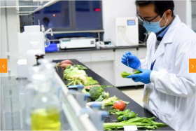 食品检测_医药类